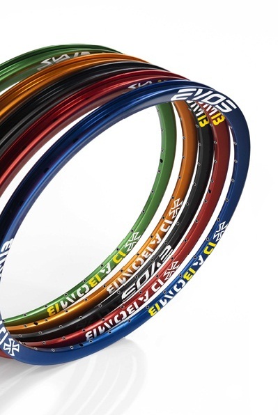 Evos Rim flyer.jpg