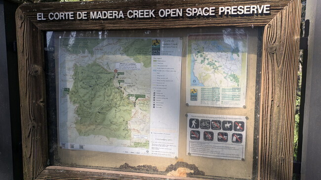 PXL_20250413_180636806.MP.jpg