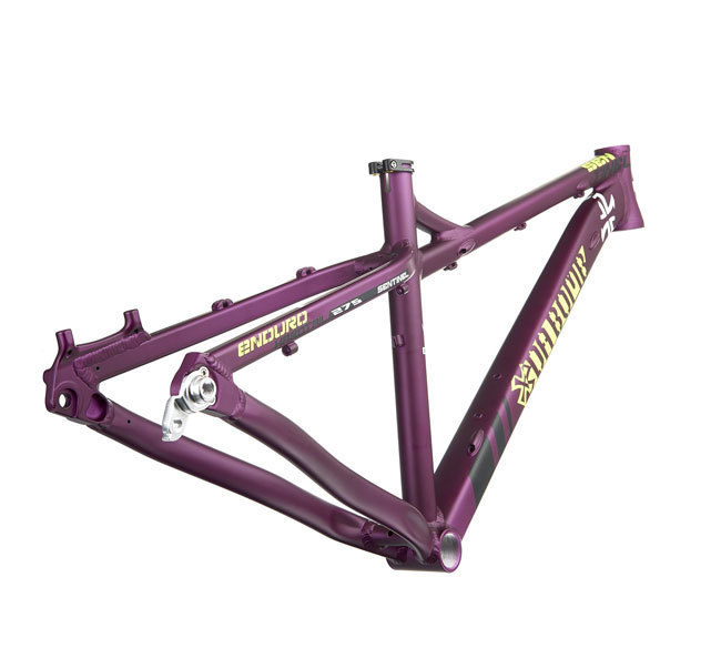 Sentinel-purple.jpg