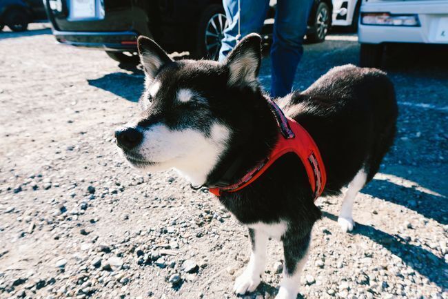 ZVE00403.jpg