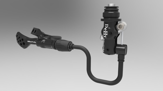 dehy yuris bikeyoke.jpg