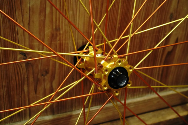orange gold 3.jpg